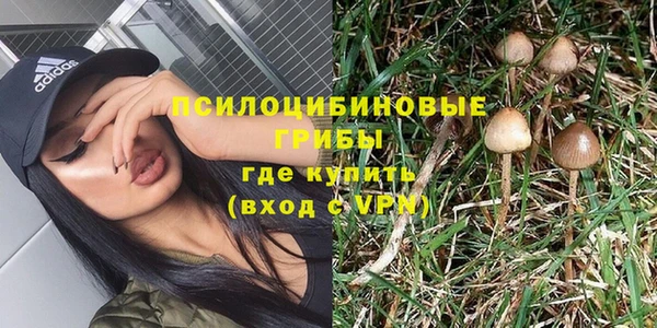 гидропоника Богородск