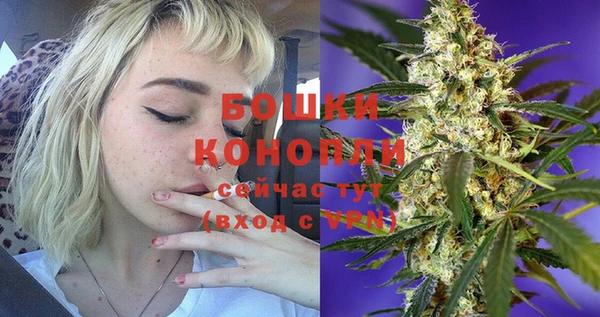 гашик Богородицк